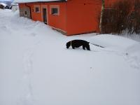 20250112_133834 (1024x768).jpg